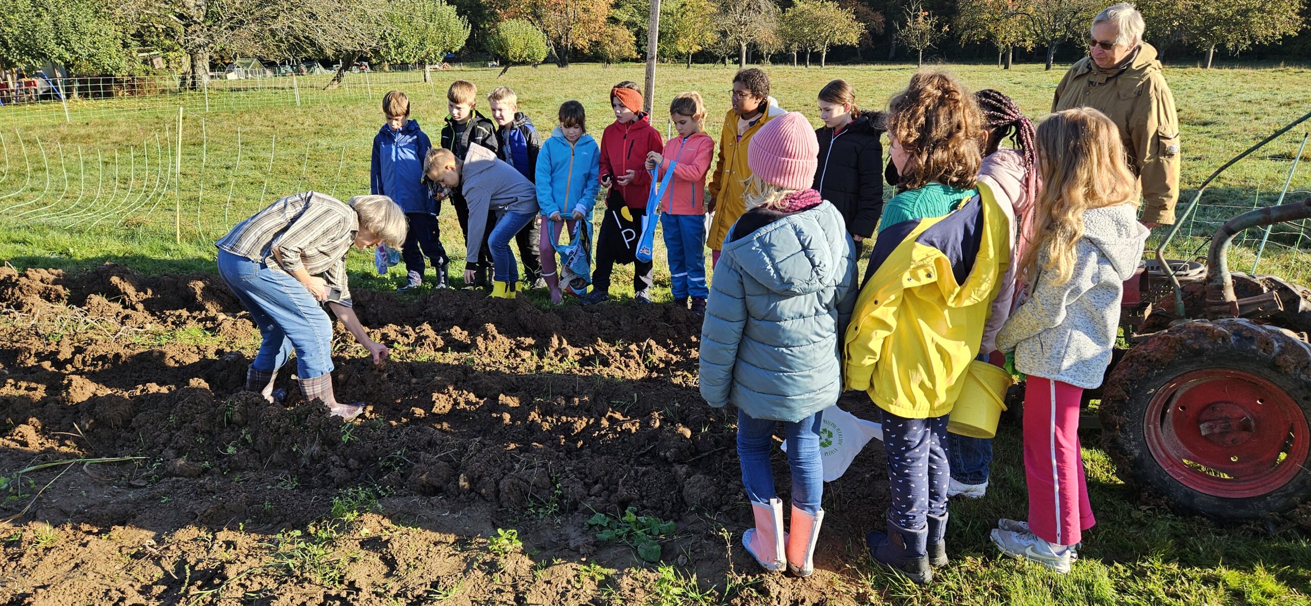 Kartoffelprojekt in Klasse 3 – in Kooperation mit dem Obst- und Gartenbauverein Spessart